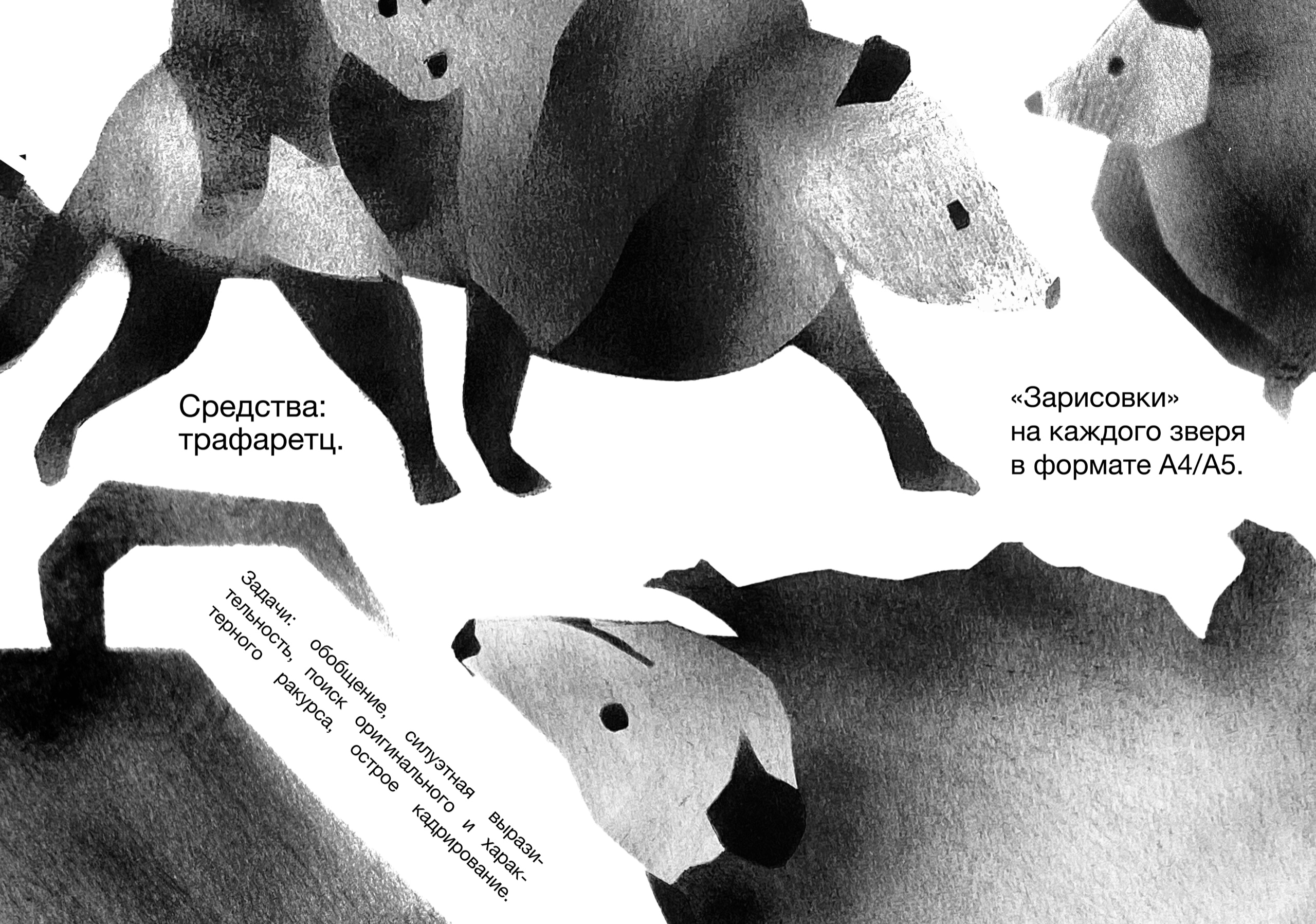 Трафаретные иллюстрации опоссума